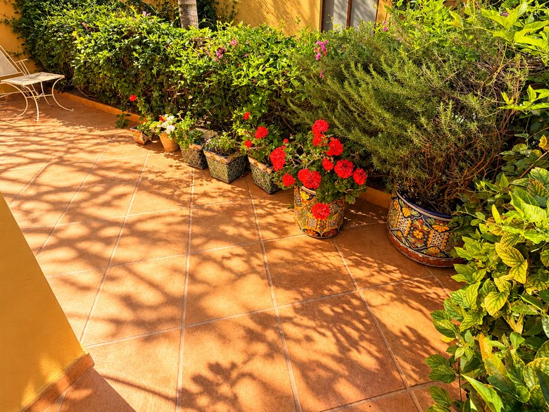 Casa Oasis — 7 photos