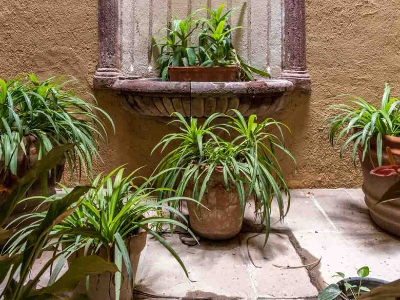 Casa Piedra Antigua — 11 photos