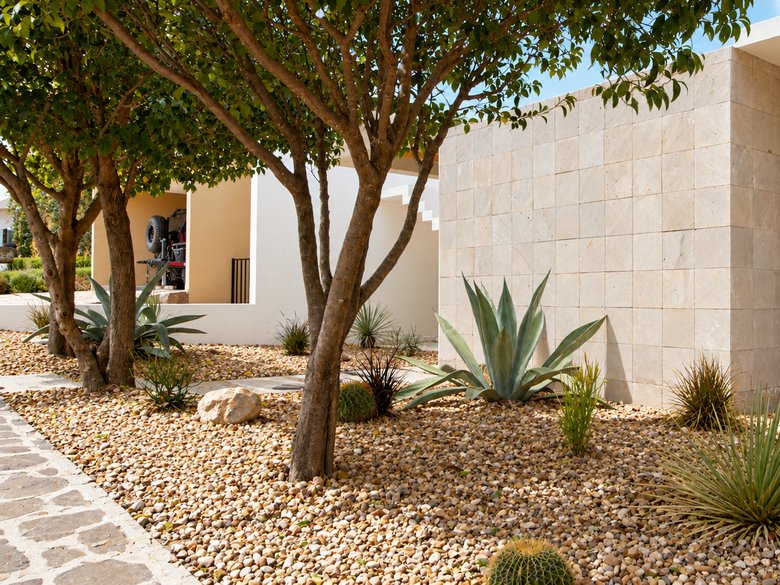 La Losilla Campanas — 4 photos