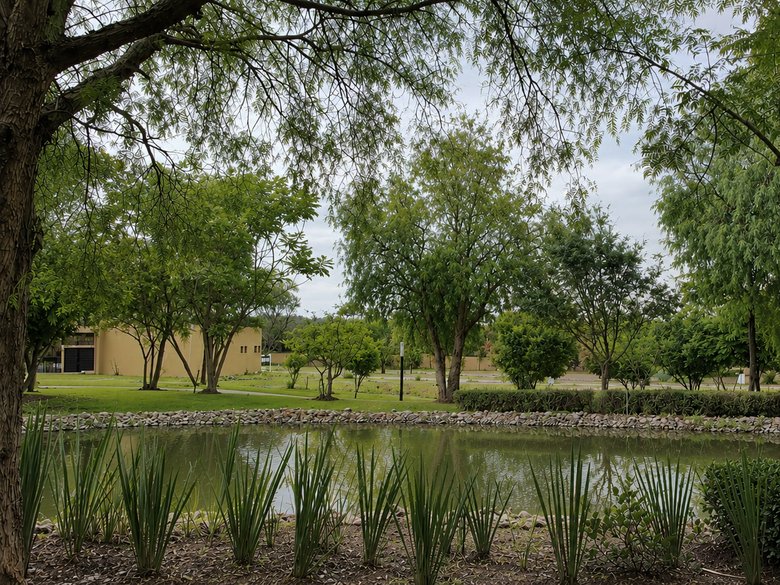 La Losilla Campanas — 26 photos