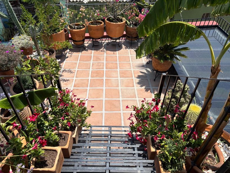 Casa Paula — 16 photos