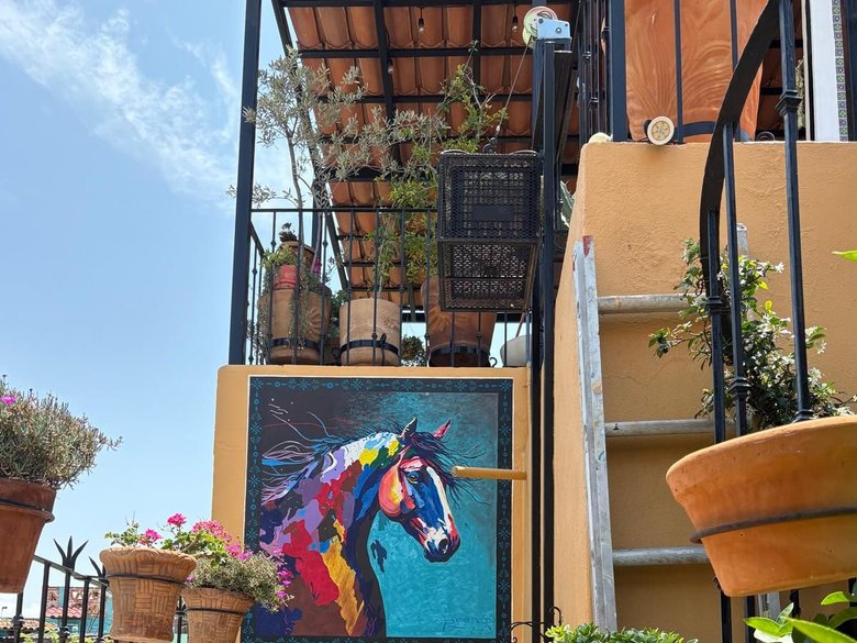 Casa Paula — 15 photos