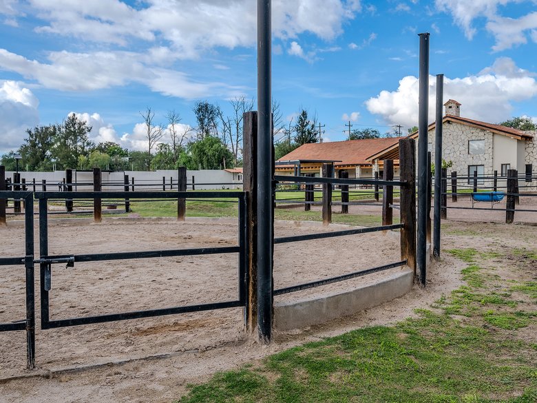 Los Pinos — 21 photos
