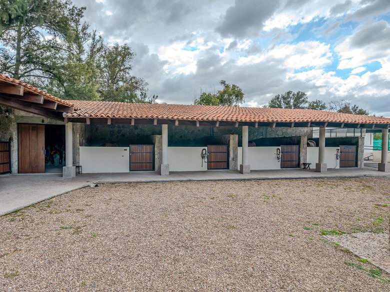 Los Pinos — 19 photos