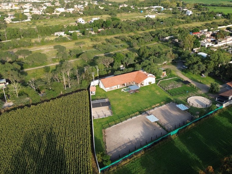 Los Pinos — 1 photos