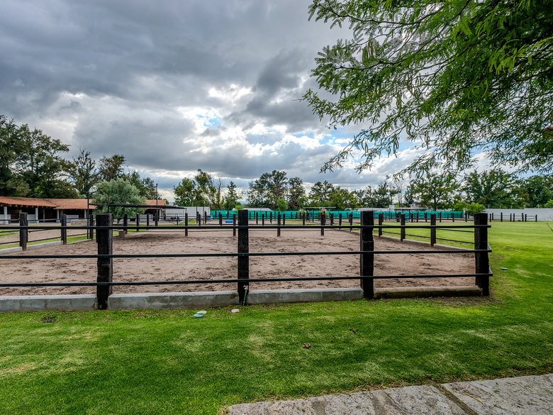 Los Pinos — 20 photos