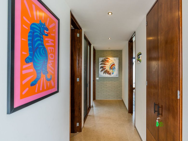 Casa Chewbacca — 4 photos