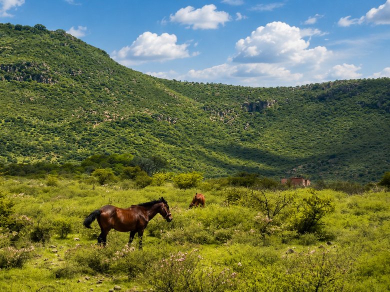 Legacy Land in Cabras — 3 photos