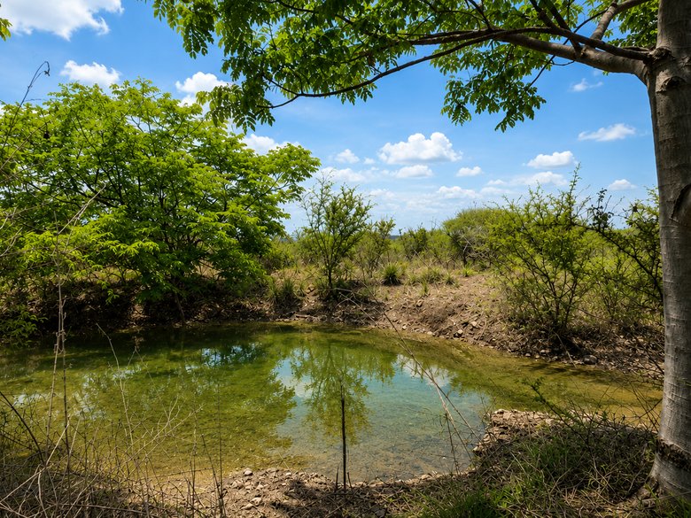 Legacy Land in Cabras — 9 photos