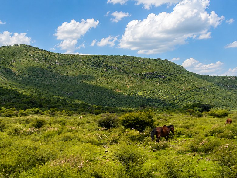 Legacy Land in Cabras — 4 photos