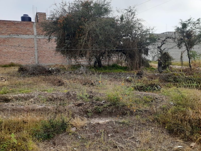 Lote Laureles — 4 photos