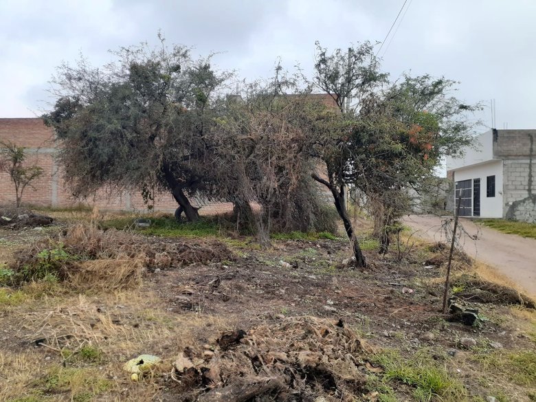 Lote Laureles — 2 photos