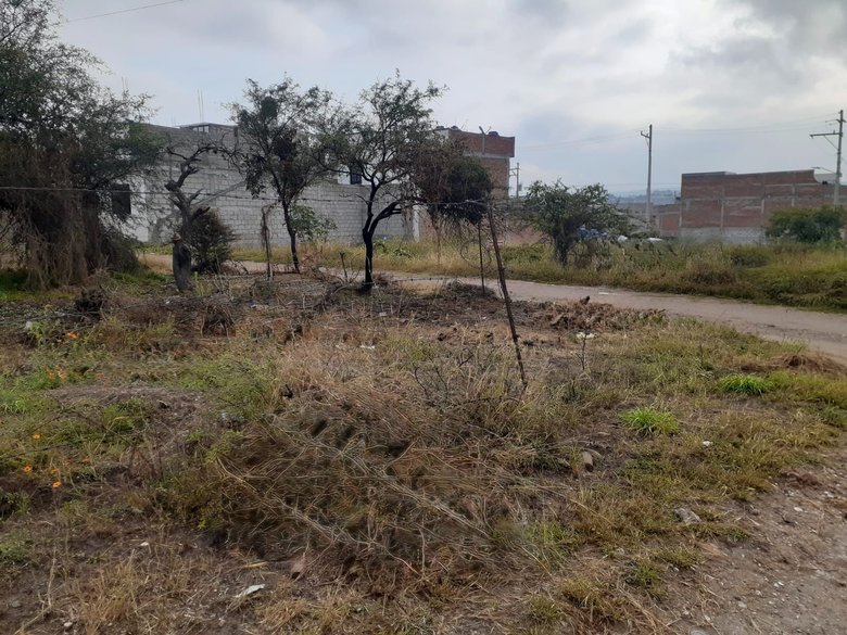 Lote Laureles — 3 photos
