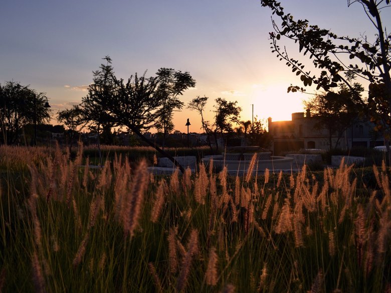Casa Angeles Residencial La Luminaria — 14 photos