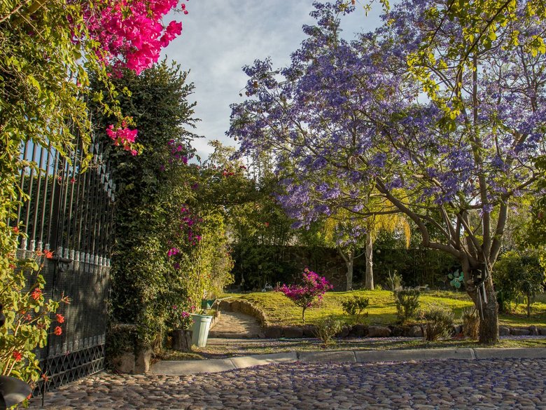 AltaVista Lot 18 – 1,027 m² | Exclusive Luxury Homesite in San Miguel de Allende — 6 photos