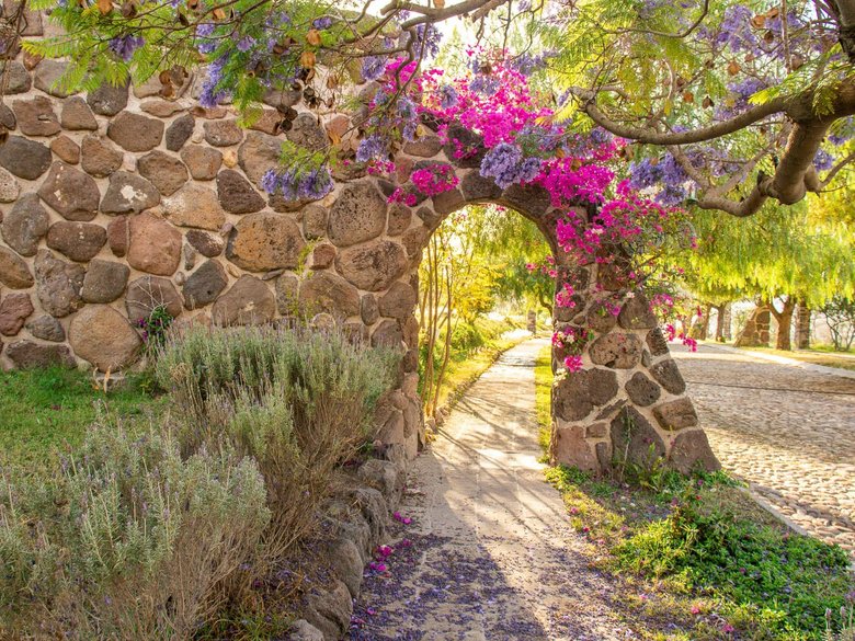 AltaVista Lot 18 – 1,027 m² | Exclusive Luxury Homesite in San Miguel de Allende — 9 photos