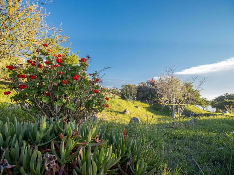 AltaVista Lot 15 – 1,168 m² | Luxury Lot in Eco-Conscious Community — 7 photos