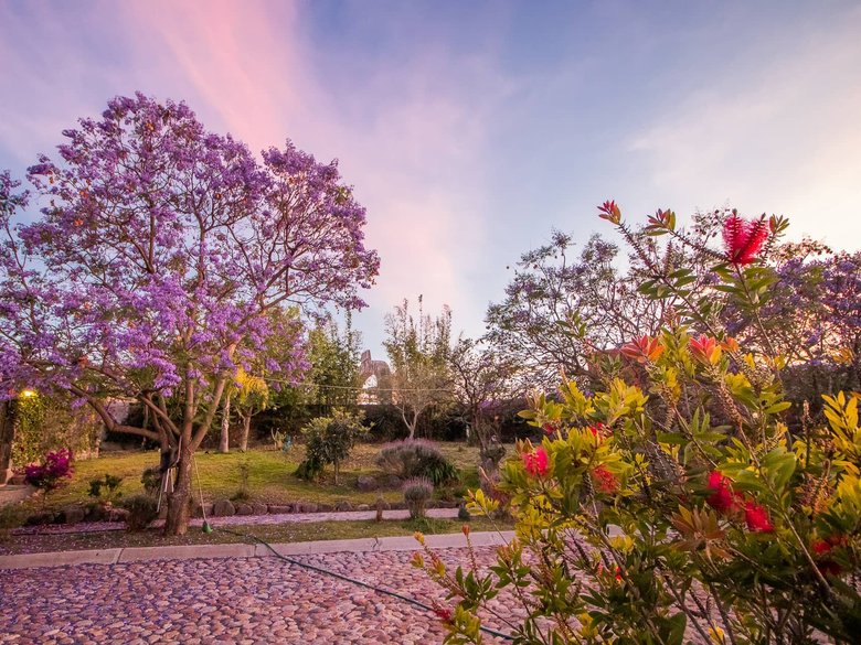 AltaVista Lot 13 – 1,642 m² | Estate Luxury Lot for Sale in San Miguel de Allende — 9 photos