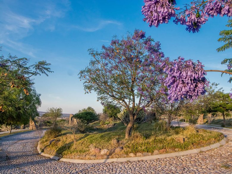 AltaVista Lot 13 – 1,642 m² | Estate Luxury Lot for Sale in San Miguel de Allende — 7 photos