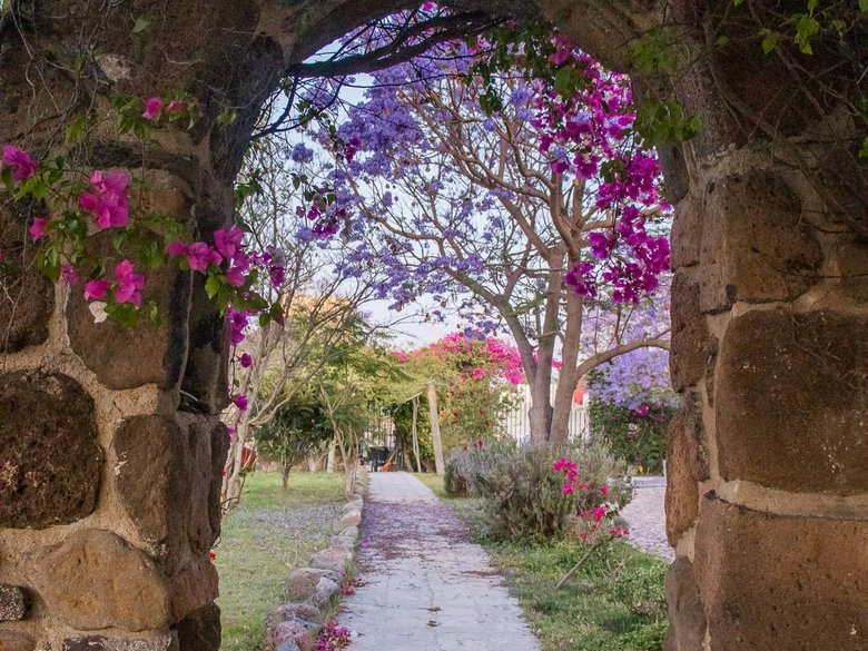 AltaVista Lot 5 – 1,163 m² | Large Luxury Homesite in San Miguel de Allende — 9 photos