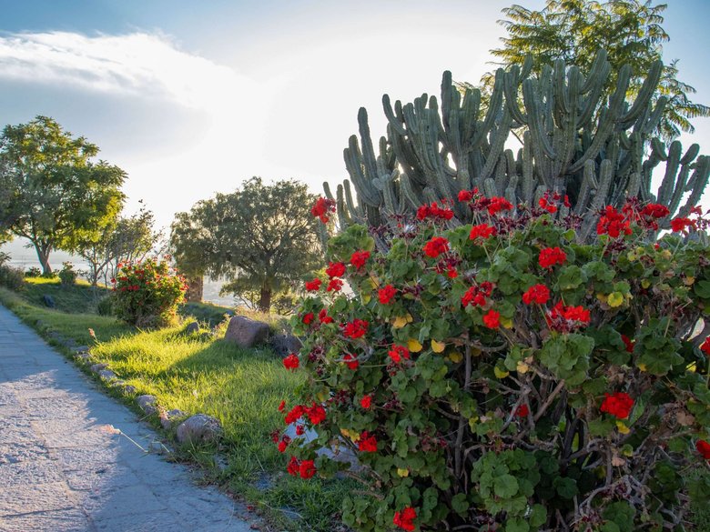AltaVista Lot 5 – 1,163 m² | Large Luxury Homesite in San Miguel de Allende — 7 photos