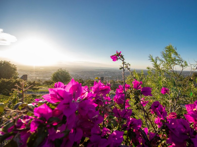 AltaVista Lot 5 – 1,163 m² | Large Luxury Homesite in San Miguel de Allende — 8 photos