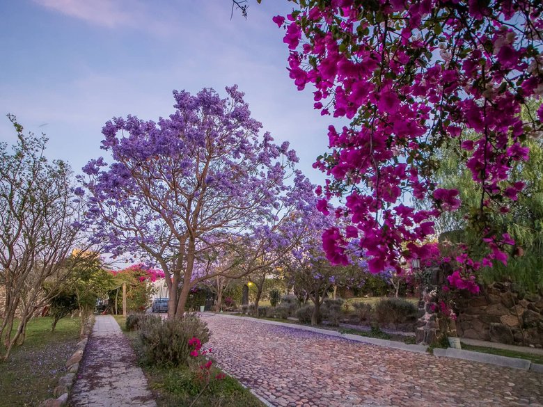 AltaVista Lot 5 – 1,163 m² | Large Luxury Homesite in San Miguel de Allende — 1 photos