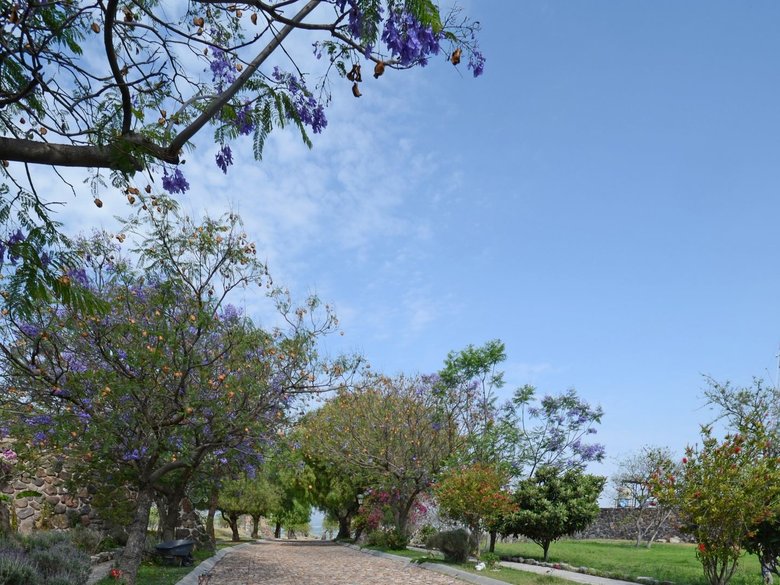 AltaVista Lot 3 – 1,043 m² | Luxury Lot Near Centro in San Miguel de Allende — 3 photos