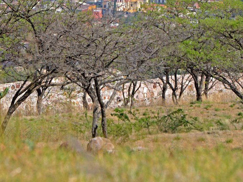 AltaVista Lot 3 – 1,043 m² | Luxury Lot Near Centro in San Miguel de Allende — 4 photos