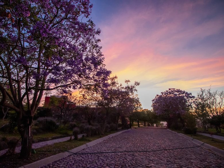 AltaVista Lot 2 – 1,025 m² | Large Homesite in Exclusive Gated Community — 8 photos