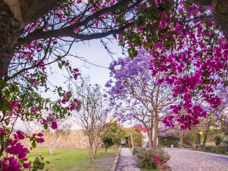 AltaVista Lot 2 – 1,025 m² | Large Homesite in Exclusive Gated Community — 7 photos