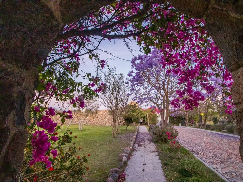 AltaVista Lot 1 – 962 m² | Boutique Eco-Community Near Centro — 8 photos