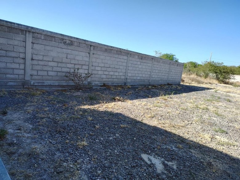 Las Garzas — 28 fotos