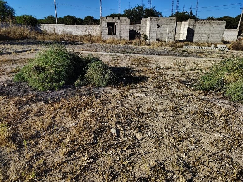Las Garzas — 23 fotos
