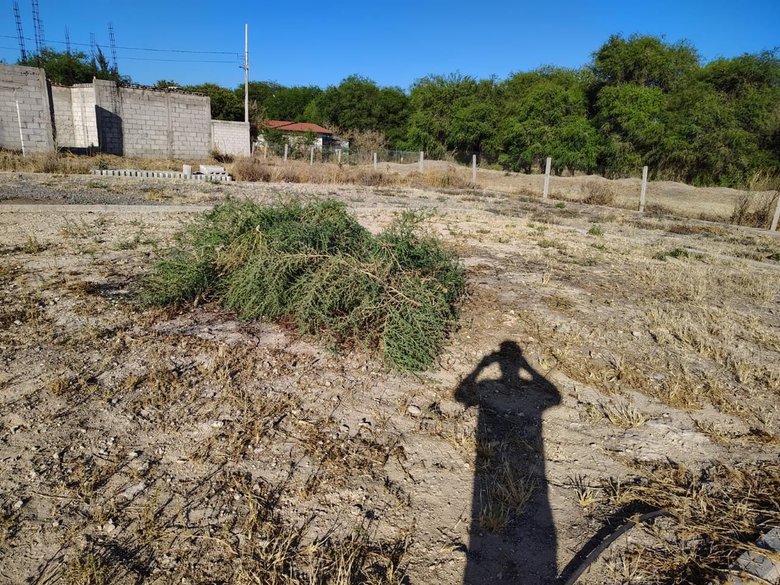 Las Garzas — 27 fotos