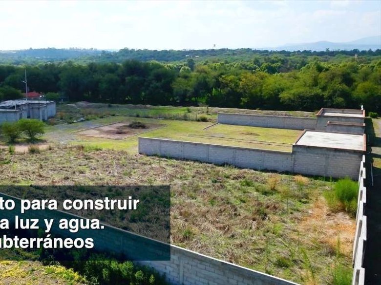 Las Garzas — 5 fotos