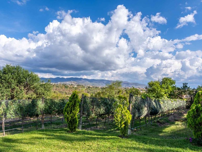 La Loma Lot 3 — 9 photos