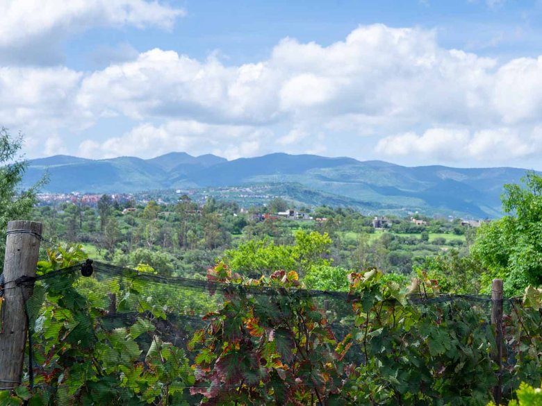 La Loma Lot 3 — 10 photos