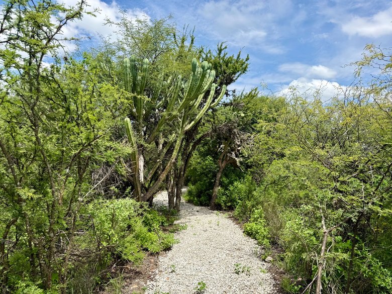 TERRENO 1  CAMPESTRE EN VENTA EN LA PRESA ALLENDE — 2 fotos