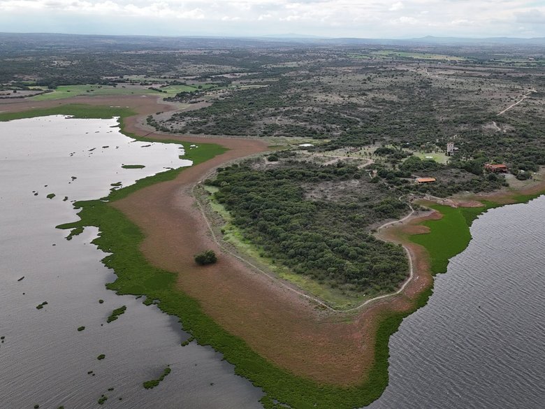 TERRENO 1  CAMPESTRE EN VENTA EN LA PRESA ALLENDE — 7 fotos