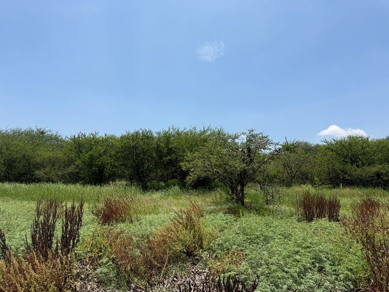 TERRENO 1  CAMPESTRE EN VENTA EN LA PRESA ALLENDE — 3 fotos
