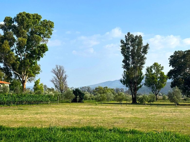 M3-L3 VIÑEDOS SAN LUCAS — 5 photos