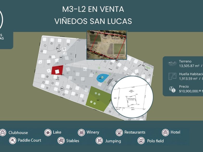 M3-L2 VIÑEDOS SAN LUCAS — 1 photos