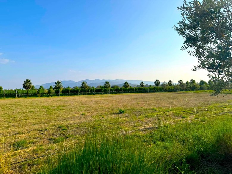 M4-L8 VIÑEDOS SAN LUCAS — 3 photos