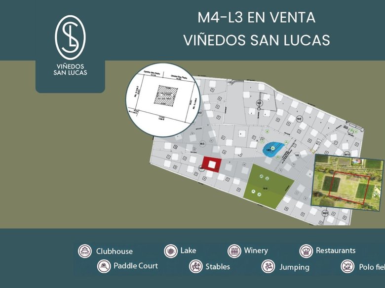 M4-L3 VIÑEDOS SAN LUCAS — 1 photos