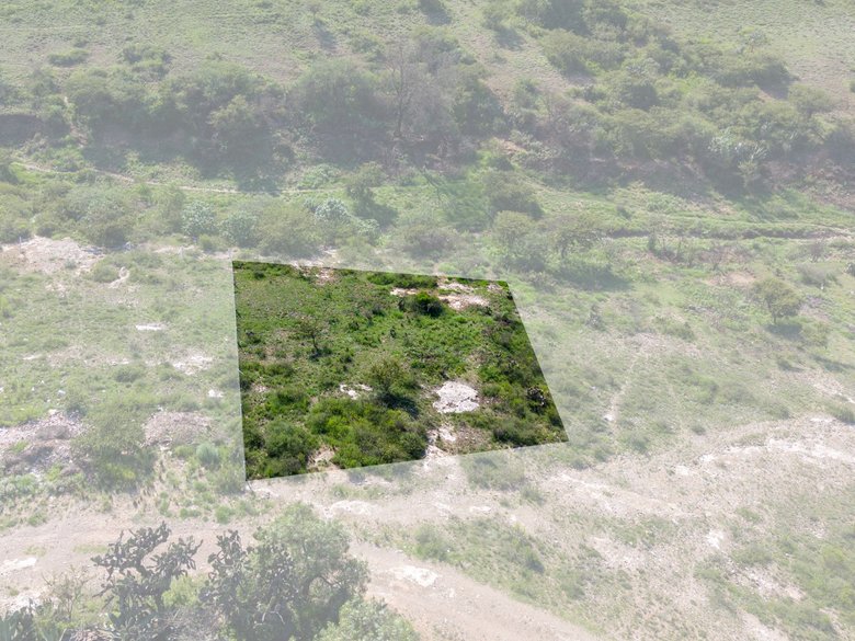 Lote El Aguila — 24 photos