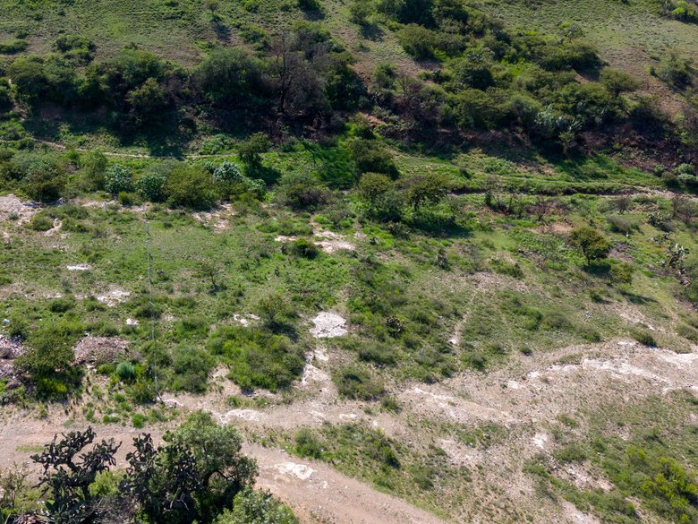 Lote El Aguila — 23 photos