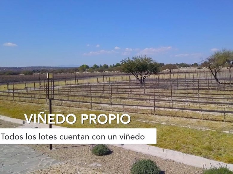 Terreno en Venta en San Miguel de Allende — 16 photos