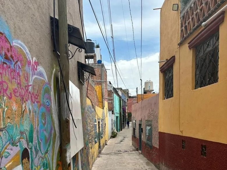 Lote Purísima — 9 photos