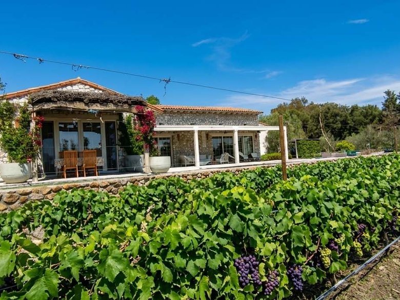 CASA VIÑEDO — 3 photos